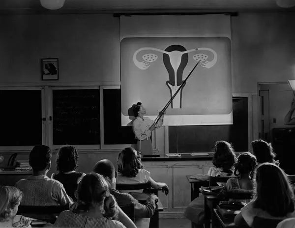 Understanding Your Body: A Guide to Hormonal Health